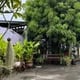 Cafe Lorong By OG's logo