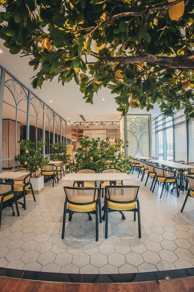 The Lemon Tree cover